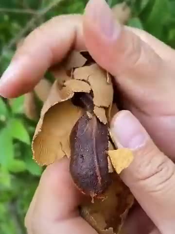 Oddly Satisfying Video #shorts