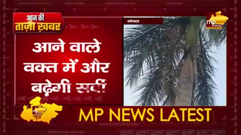 सर्द हवाओं ने मौसम में घोली ठंडक, राजधानी में सर्दी ने दी दस्तक! MP News Bhopal