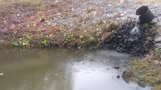 Water Gushing From Giant Pipe Water Sounds Forest Reservoir Autumn Scenic View