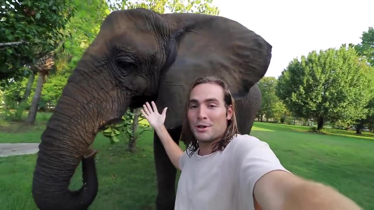 POOP SCOOPING FOR MY ELEPHANT ! HOW MUCH WILL WE GET ?!-2