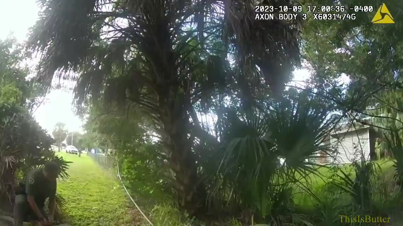 Hillsborough Deputies bodycam shows K9 unit tracks down and arrests Adam Stratton in the woods