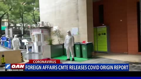 Foreign Affairs Committee releases COVID origin report