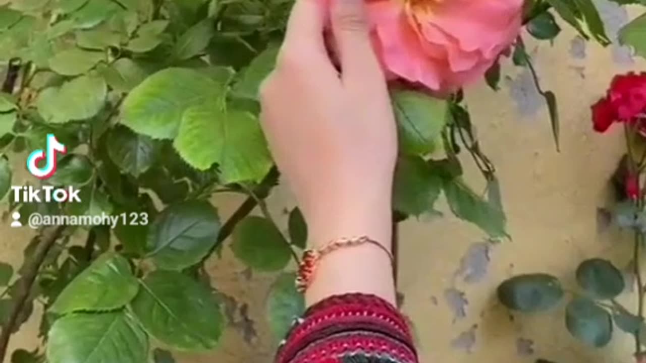 Poetry