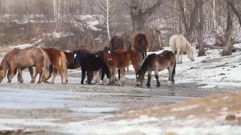 Kryon 2023 - Ascended Masters and Ice Ages - A Mini Ice Age Coming around the Year 2036