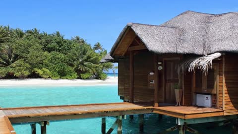 Relaxing Music | Sleeping, Meditation, Stress Relief | [1314] ⭐️