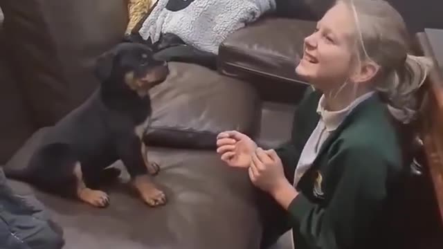 a Wonderful Rottweilers girl