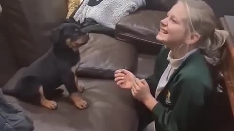 a Wonderful Rottweilers girl