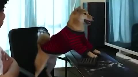 Don’t_stop_a_smartest_dog_playing_video_games