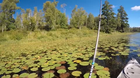 A Relaxing Day Of Frog Bassin'-2