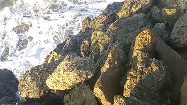 Hermosas Playas De Colombia