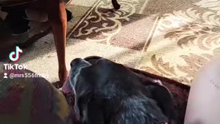 Ernie and Goober sing