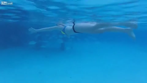 A shark attacks a girl while she is swimming, terrifying moment