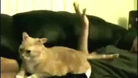 Hitting the right note