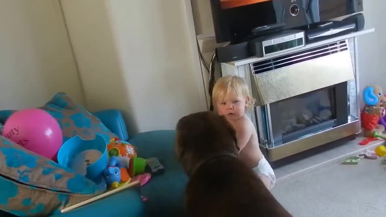 Baby laughing at dog playing with a balloon!!