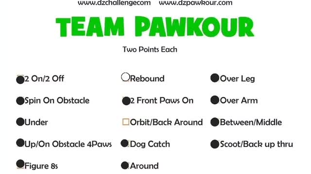 Aurora June 2022 Pawkour with DZ CHALLENGE