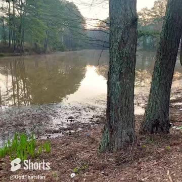 Gods Earth Lake View #fyp #shorts