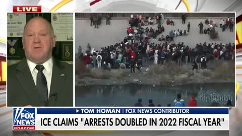 VP Kamala Harris was picked for this role because they knew she 'would fail': Tom Homan