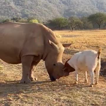 Friends to emulate 🥰