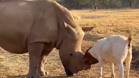 Friends to emulate 🥰