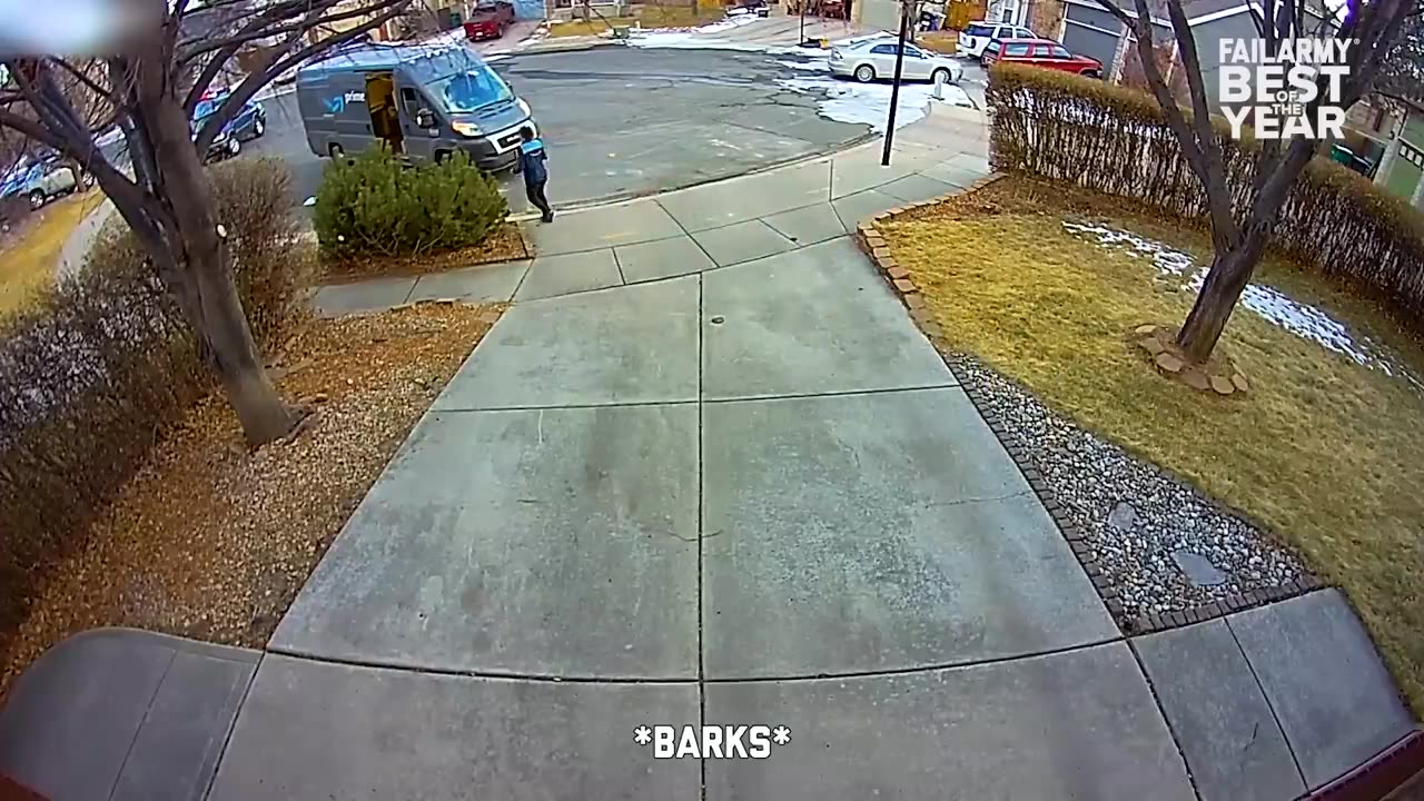 STRAIGHT for The FACE FAILURE! 😂 | Funniest Fails | funplays 2020 !