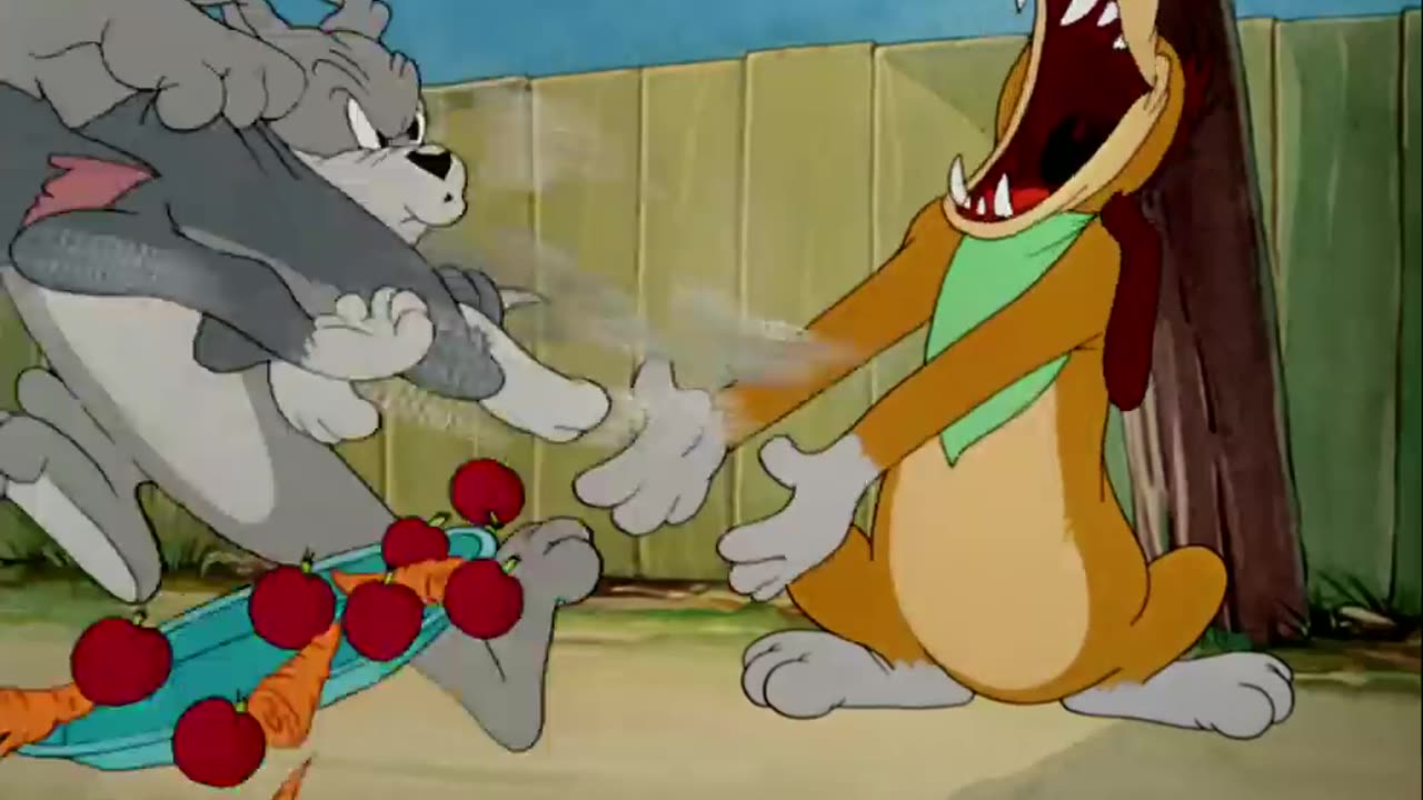 Tom and Jerry - The Truce Hurts