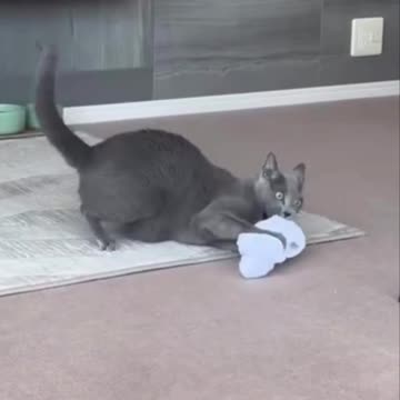 Found some of Hunter bidens pouches