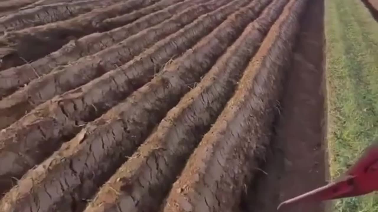 The Art of Tillage