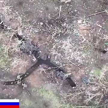 are storming the position of the Armed Forces of Ukraine