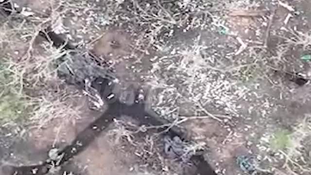 are storming the position of the Armed Forces of Ukraine