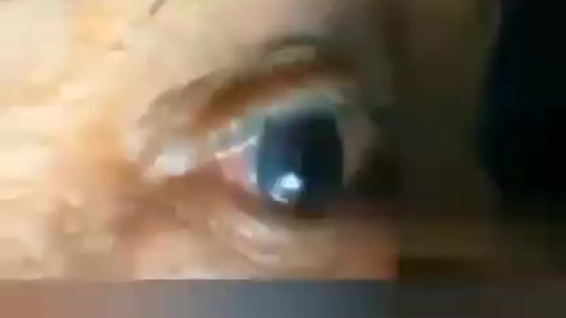 the Vril Reptilian drone.....