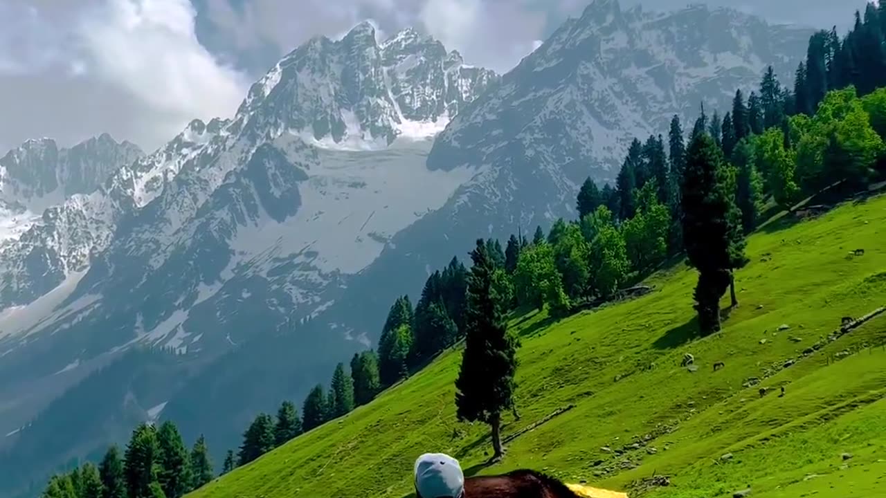 Feel Song With This Beautiful Summer Vibe Of Kashmir