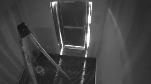 5194CHOB05C5BN1RoofExit_2021-01-06_08h40min02s707ms.mp4