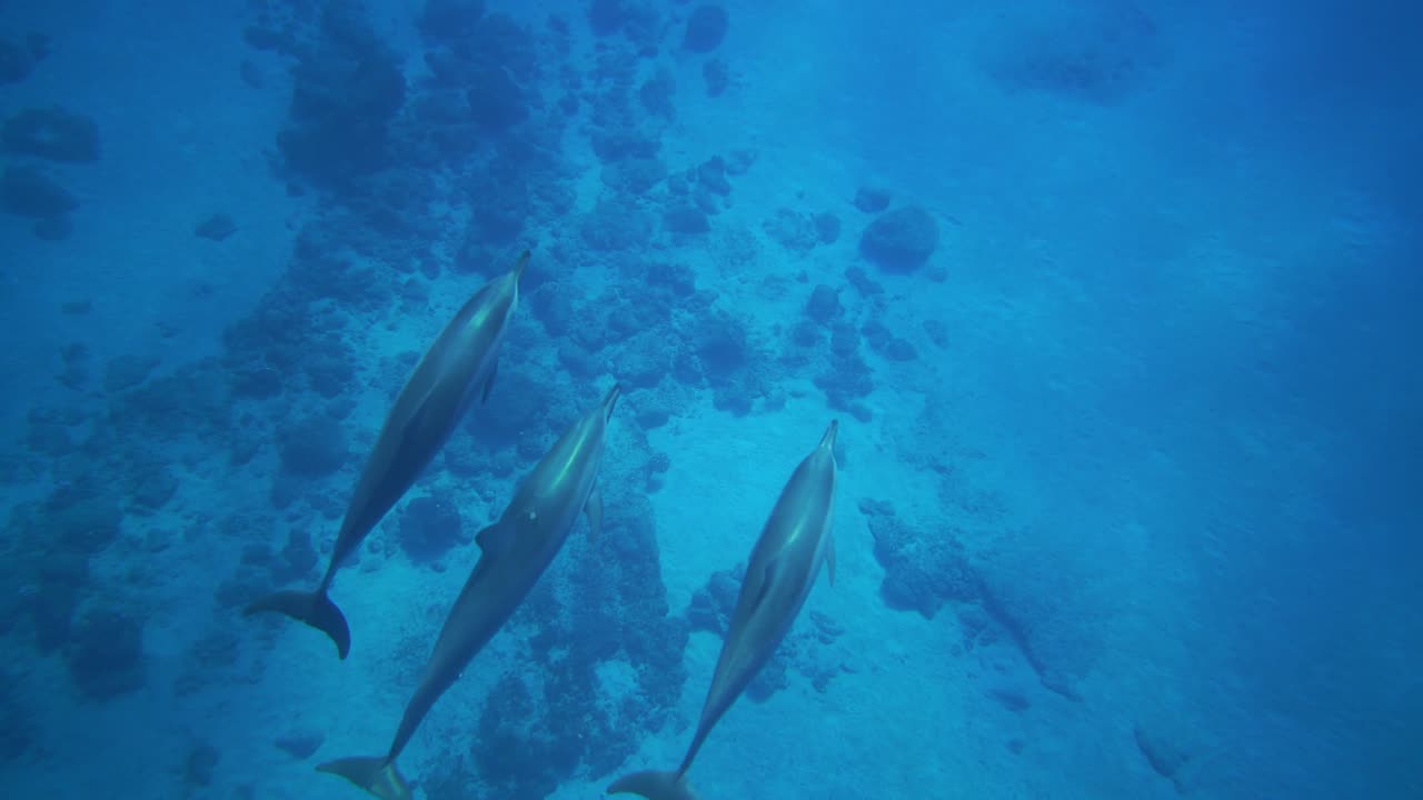 Antarctic waters