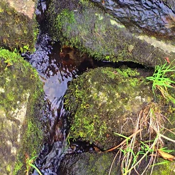 A small watercourse from a large river.