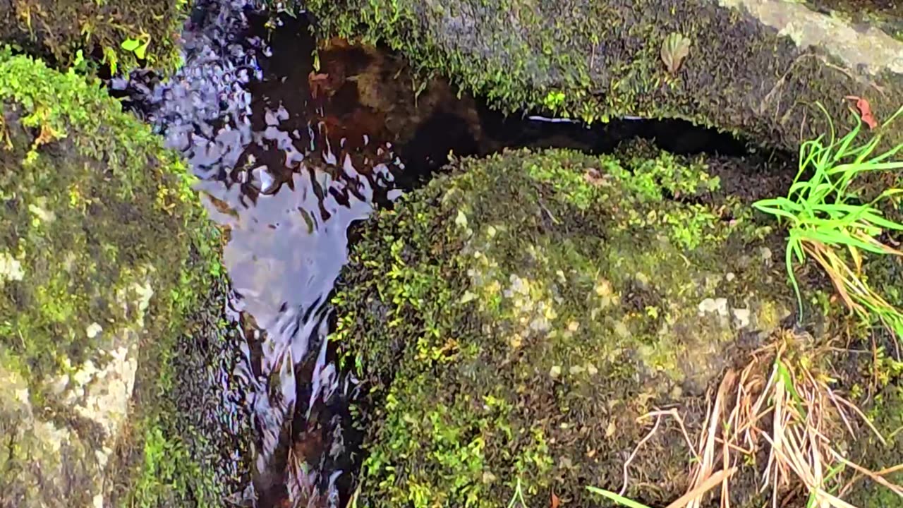 A small watercourse from a large river.