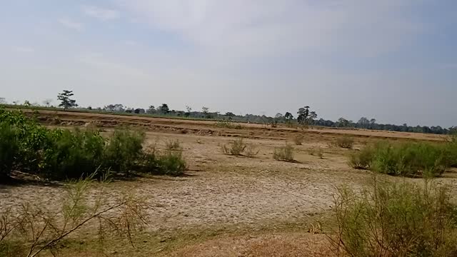 Brahmaputra river bank