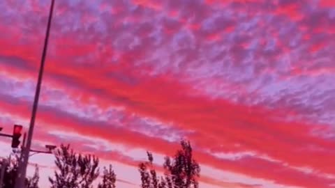 Relaxing Music 24/7, Sleep Music, Stress Relief Music, Spa, Meditation, Yoga, Zen, Sleeping Music🔴