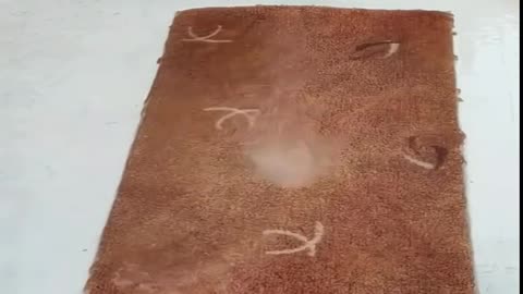 Cleaning rug with modern technology..