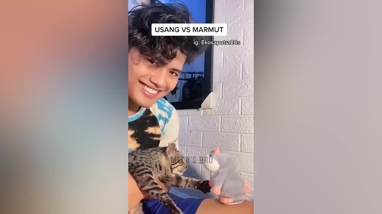 SO FUNNIEST MOMENTES OF CATS AND DOGS😹🐶🐈🐕