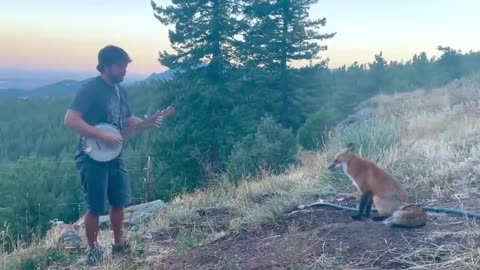 ANIMALS LOVE MUSIC! THIS IS JUST SO COOL! 🇺🇲✝️👊😎👍✝️🇺🇲