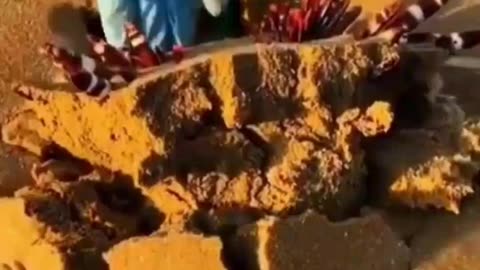 GoneViral #funnyvideos #satisfyingviedos2024