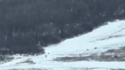 Footage of Ukrainian Mortar Strikes Near Kleshchievka