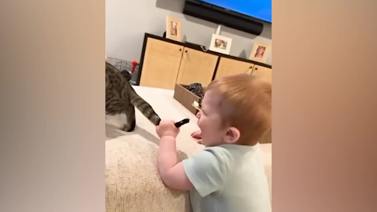 Best video of Cute Babies and Pets - Funny Baby and Pet