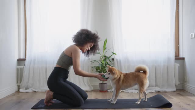 Astonishment of a girl playing with a lovely dog ​​with a ball