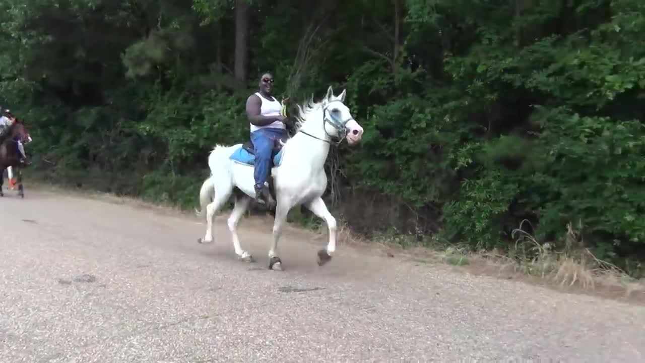 "BIG" Front Action Ryders Annual Walking Horse Trail Ride in Ogden, Arkansas-9