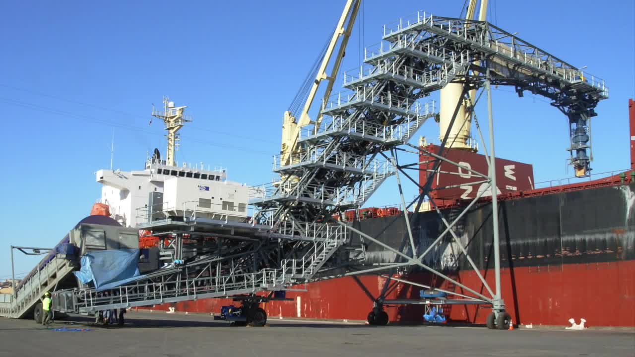 DSI Mobile Snake Shiploader