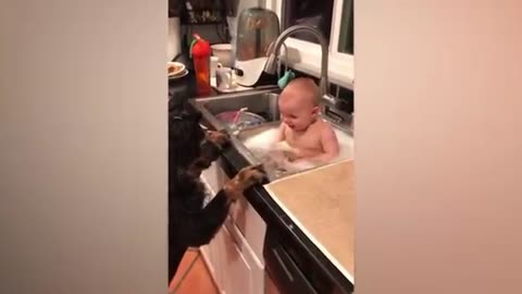 Dog and funny babies 😅