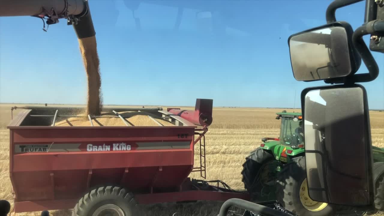 2018 Harvest