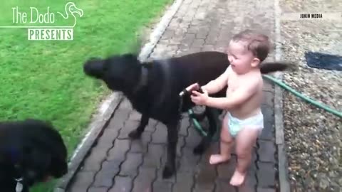 Try not laugh 😂. Dog and baby make funny things 😀