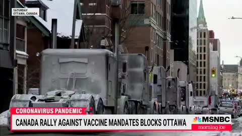 MSNBC calls Trucker convoy a cult